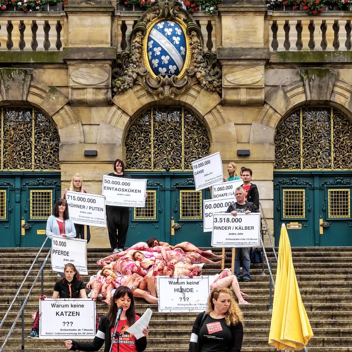Tierschützer Kassel 1