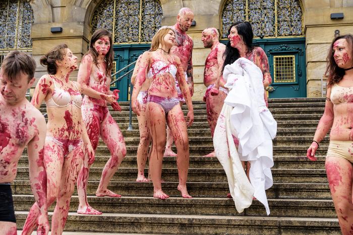 Tierschützer Kassel 3