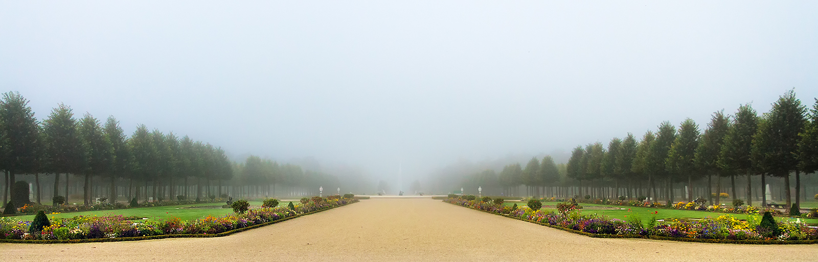 Schwetzinger Frühnebel 1