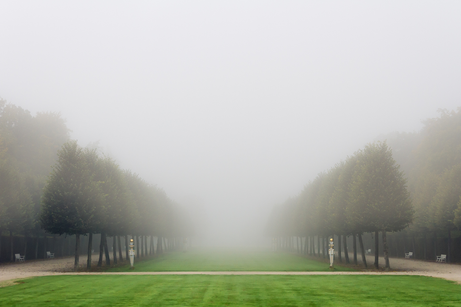 Schwetzinger Frühnebel 2