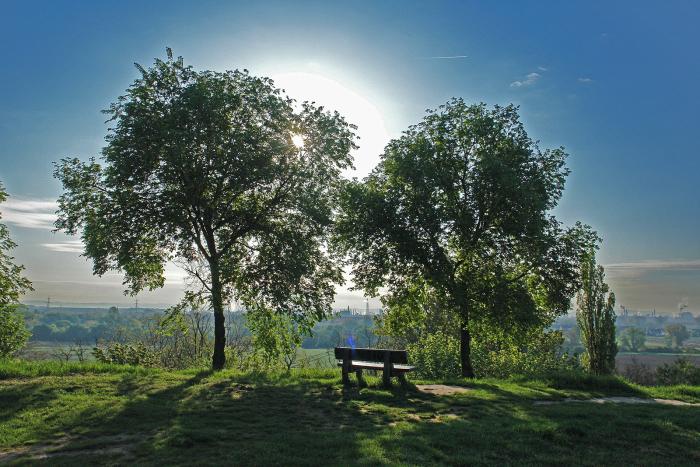 Monte Scherbelino Frankenthal 1
