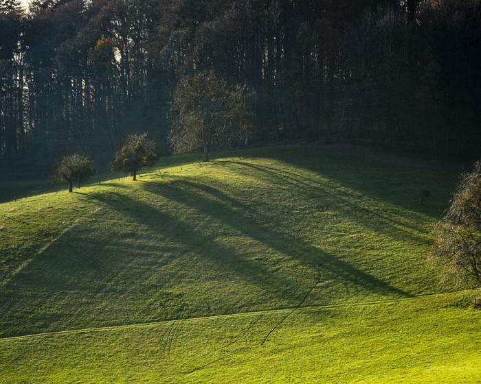 BjWo_20201129_DSCF9600