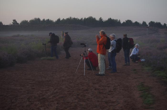 BeSchm-Mehlinger Heide-07