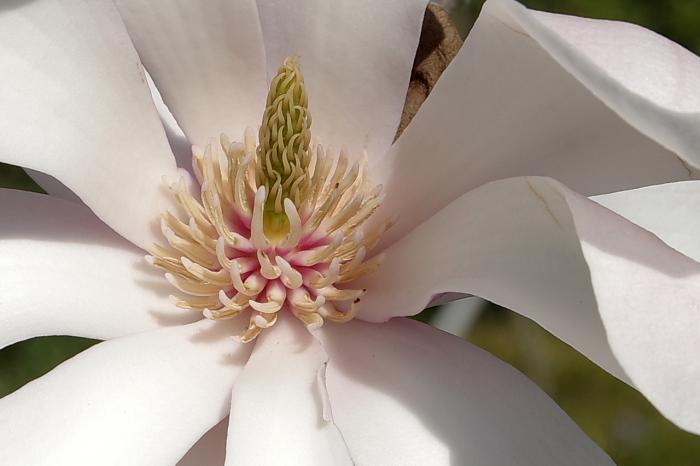 Hermannspark-BeSchm-10