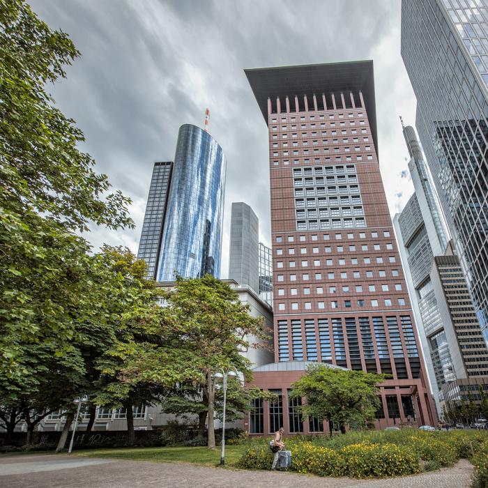 RuKo_Frankfurt_DT_41531