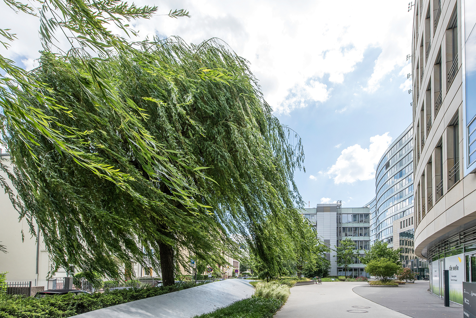 RuKo_Frankfurt_DT_41647