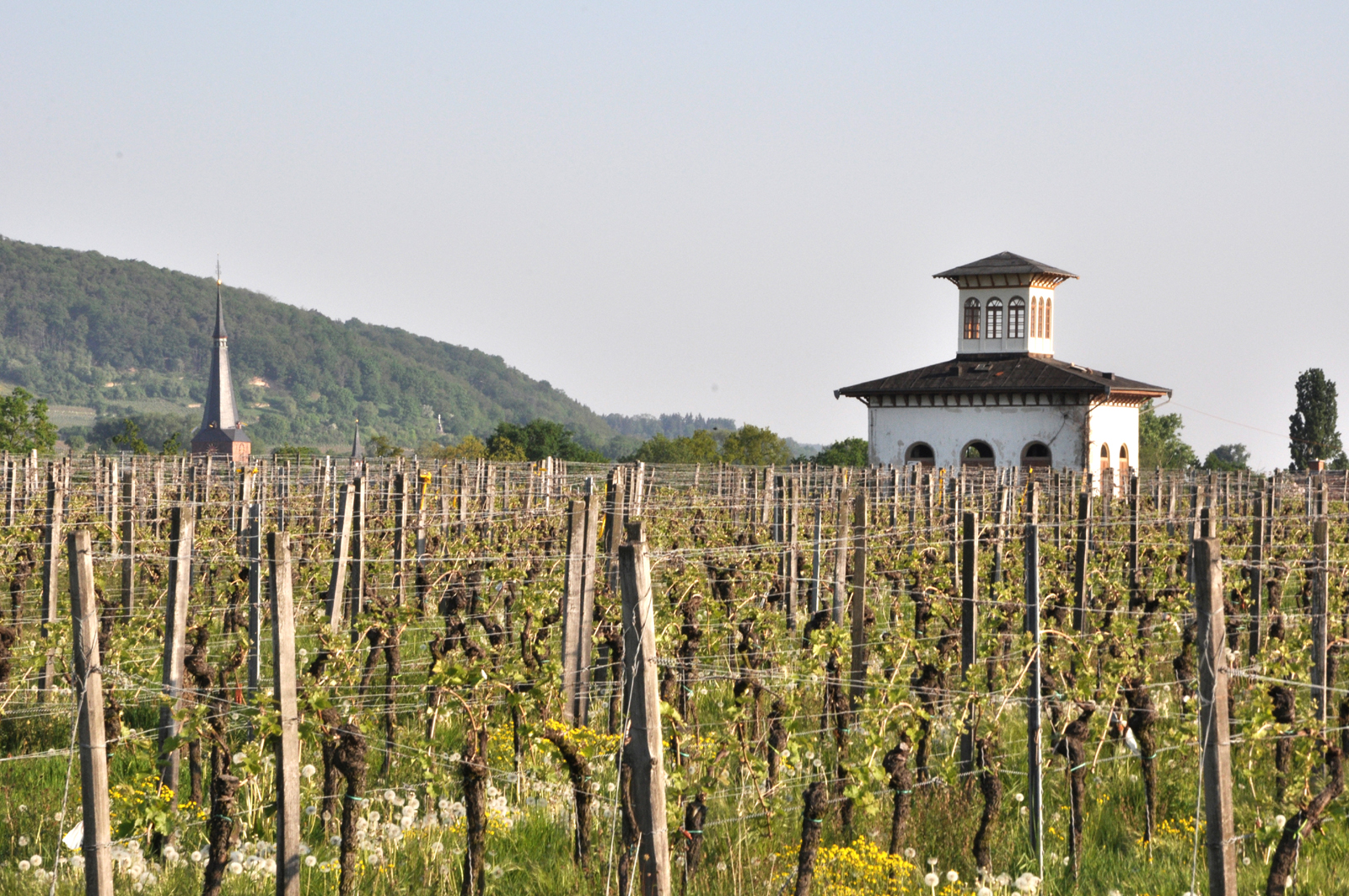 Teehaus mit Kirchturm